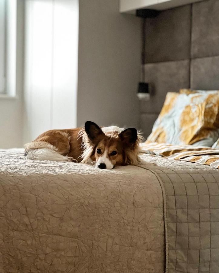 Nadbaltycki Swit - Gdynia Pogorze Apartment Ngoại thất bức ảnh
